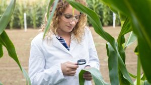TÉCNICO EM MEIO AMBIENTE