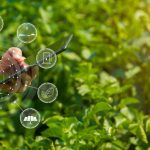 TÉCNICO EM AGROPECUÁRIA