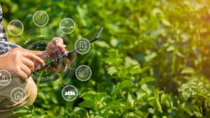 TÉCNICO EM AGROPECUÁRIA